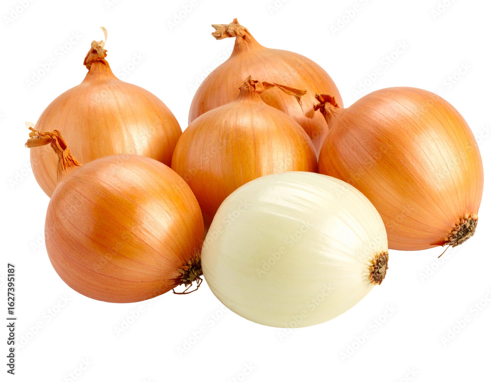 Fototapeta premium Peeled Shallots Isolated on White Background