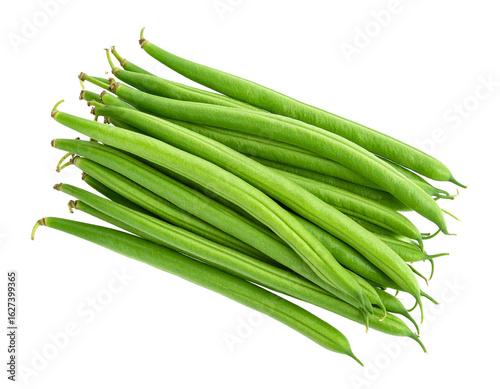 Fresh Yard Long Beans on Isolated White Background