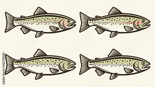 Four vintage trout fish illustration aquatic wildlife