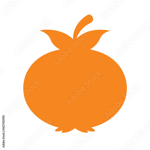vector illustration of an orange fruit