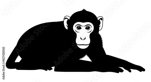 profile view of a curious young chimpanzee, isolated on a transparent background: a striking black and white vector illustration