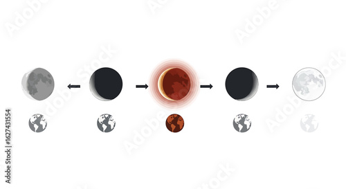 Vector illustration of the total lunar eclipse cycle showing moon phases and Earth's shadow