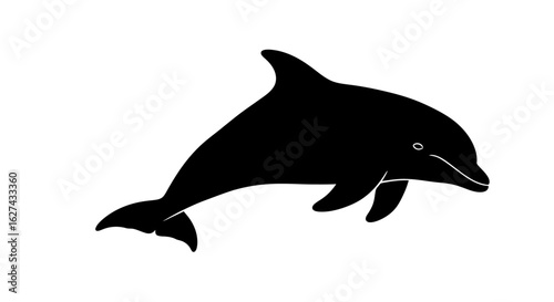 side profile of a graceful dolphin silhouette, isolated on transparent background: perfect for marine life designs and logos