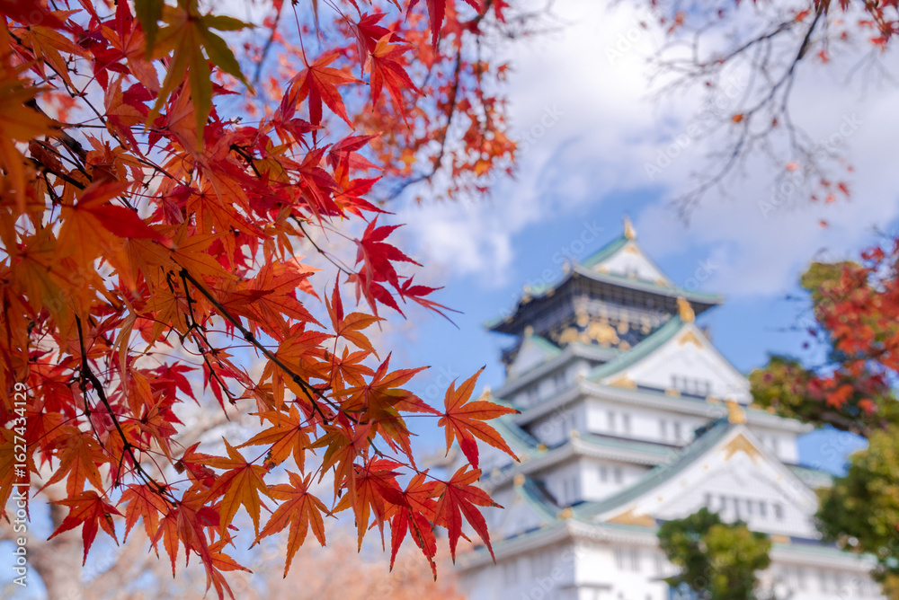Fototapeta premium The castle is one of Japan's most famous landmarks and it played a major role in the unification of Japan during the sixteenth century, Osaka Castle Japan