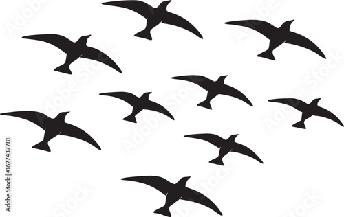 Flock of birds flying in silhouette on white background Keywords: bird, flying, flock