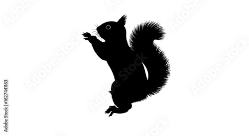 profile view of an alert squirrel silhouette, isolated on transparent background: perfect for logos, designs, and illustrations