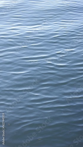Gentle ripples flowing on calm blue water surface giving a metallic, liquid background