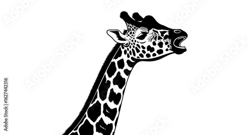 dramatic profile of a yawning giraffe, isolated on transparent background: a striking black and white vector illustration for design projects.