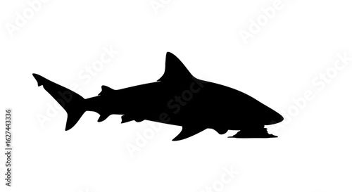 side profile silhouette of a shark, isolated on transparent background: powerful aquatic predator graphic for design projects