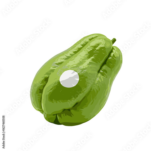 Vector illustration showcasing a vibrant green chayote squash, also known as mirliton, against a clean white background, full of freshness and color.