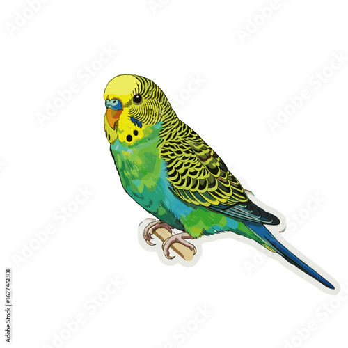 Vibrant budgerigar illustration perched on a branch showcasing bright yellow and green plumage with detailed feather patterns and a cheerful expression