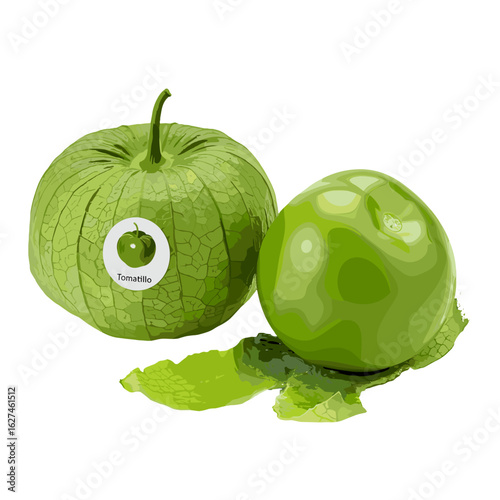 Illustration of two tomatillos, one with a sticker, showcasing their fresh green color and unique husk-like covering, ideal for culinary projects and healthy eating concepts.