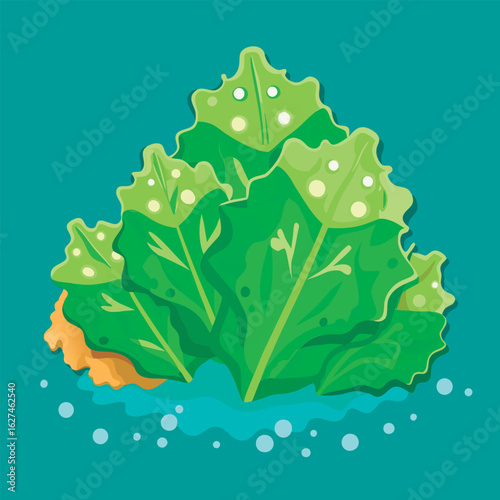 Fresh. vibrant lettuce in water.