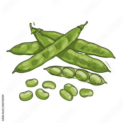 Fresh green soybeans in pods and shelled beans, a healthy and nutritious legume for cooking and eating, perfect for a vegetarian diet and sustainable agriculture