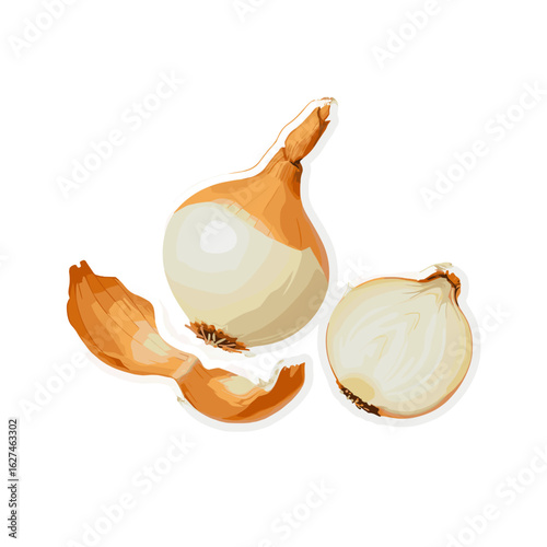 Vector illustration showcases a whole onion, an onion half, and loose skin layers, all depicted with vibrant colors and intricate details against a bright backdrop