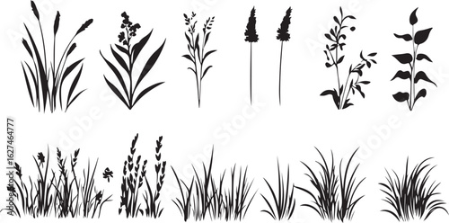 Collection of black silhouette botanical elements featuring grasses reeds and wildflowers on a white background