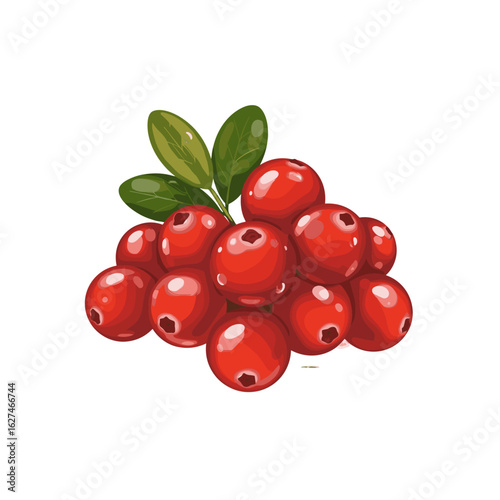 Vivid cranberries illustration featuring a cluster of shiny red berries and green leaves, creating a fresh, organic, and detailed botanical artwork.