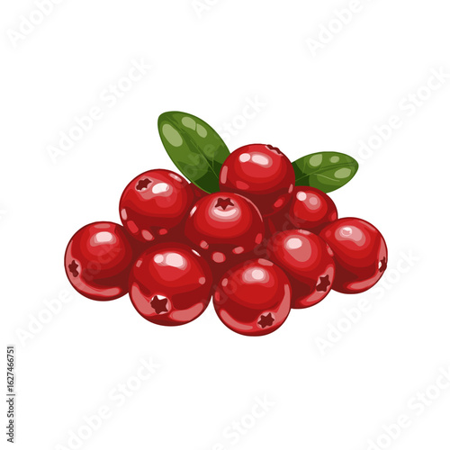Pile of Shiny Red Cranberries with Green Leaves Vector Illustration for Healthy Eating and Festive Holiday Decorations, Representing Freshness and Natural Goodness