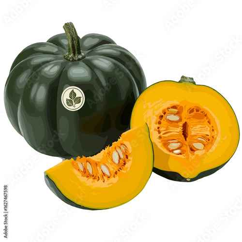 Fresh acorn squash still life featuring a whole dark green squash alongside a halved and sliced squash revealing vibrant orange flesh and seeds