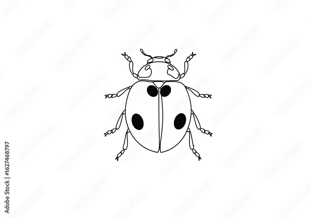 Fototapeta premium Lady beetle drawing. It is a black and white outline image of a lady beetle, an insect also known as a ladybug, with distinct spots on its shell. Vector sketch line art draw.