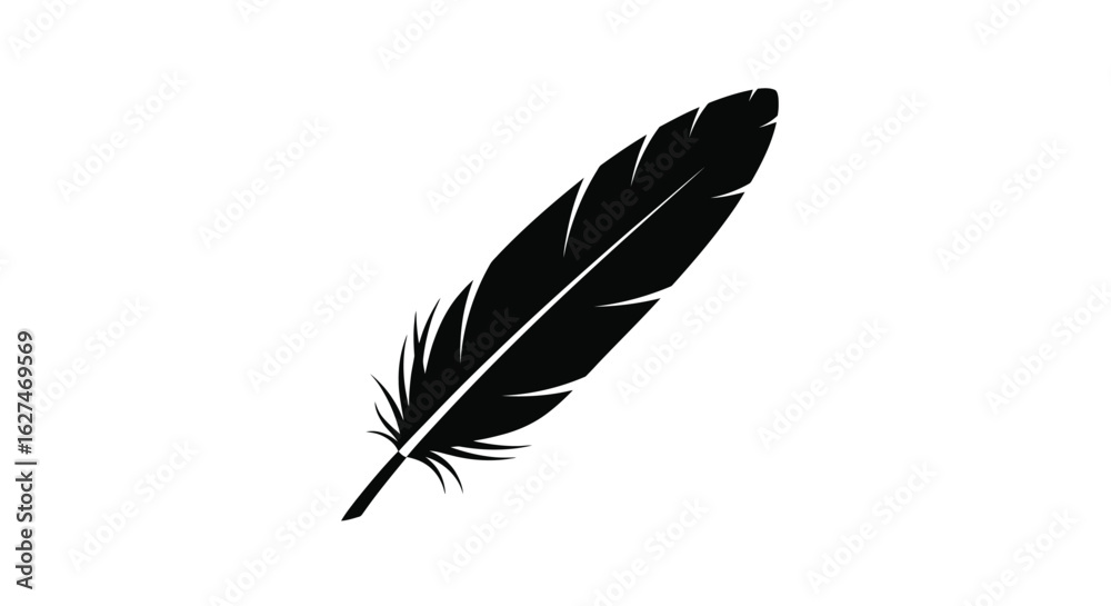 Fototapeta premium Black Feather Isolated on White