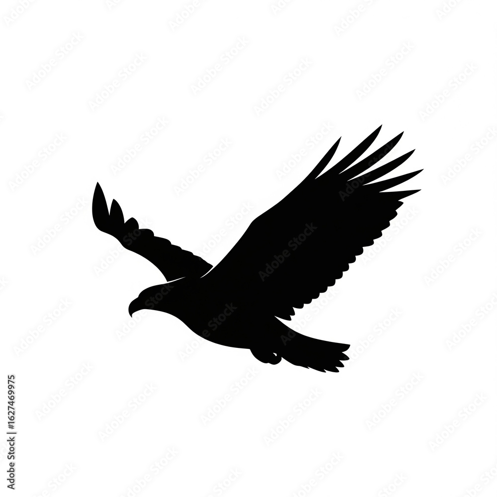 Obraz premium eagle in flight