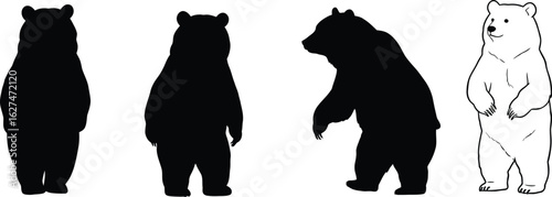 Four stylized standing bears depicted in silhouette and outline isolated on transparent background silhouette