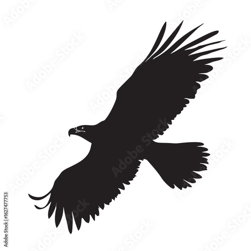 A bald eagle soars gracefully over hazy mountain ridges in a monochrome scene