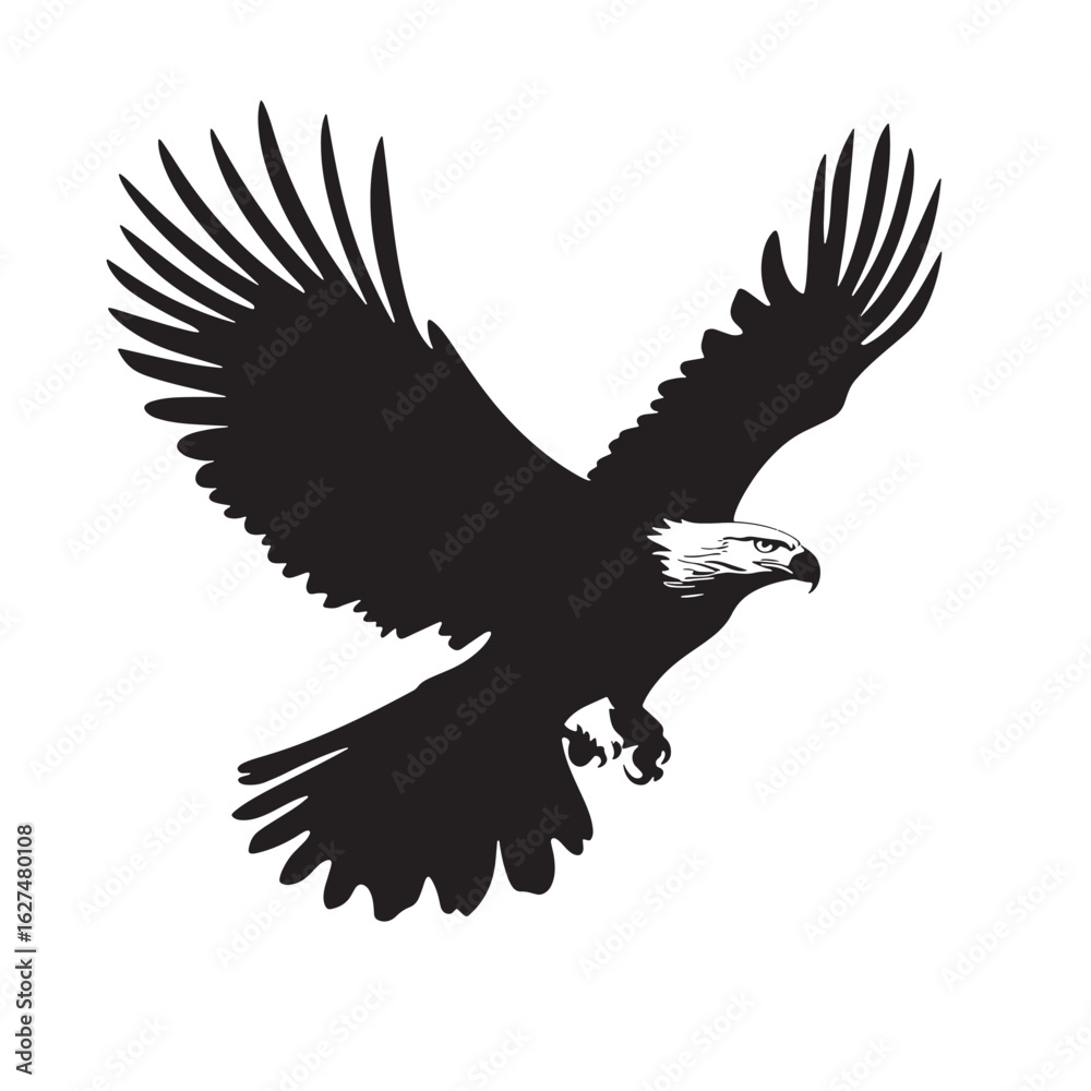 Obraz premium Black eagle soars downwards, its sharp eyes focused, against a transparent backdrop