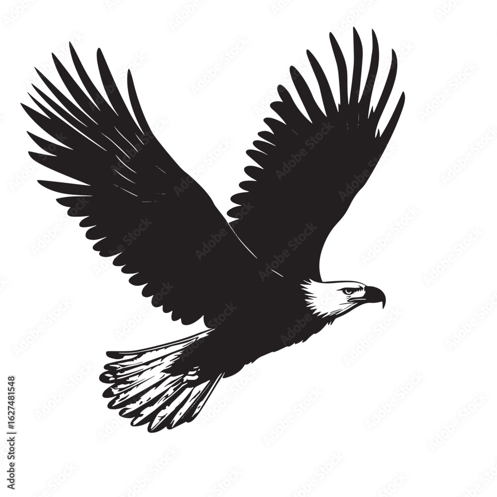 Obraz premium Eagle (8)_traced