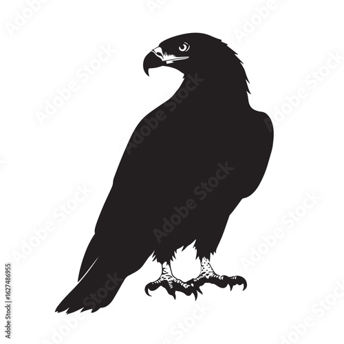 Stylized monochrome eagle with spread wings and a snake caught in its talons