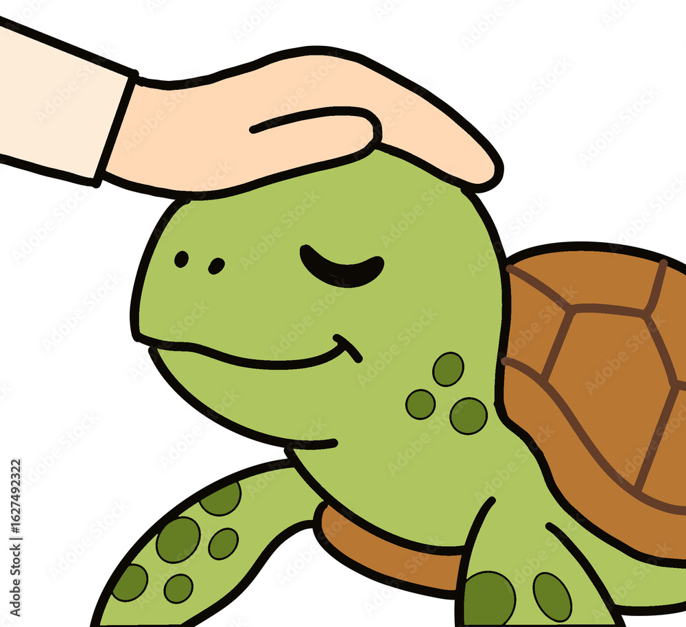 Obraz premium 거북이 보호 손