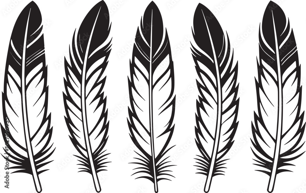 Obraz premium Five stylized black and white bird feather icons feathers