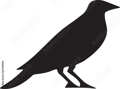 Silhouette of a single black bird standing profile