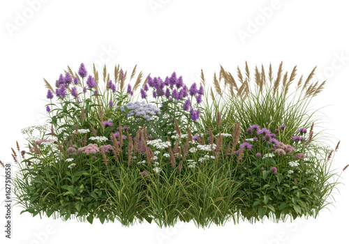 Fototapeta Naklejka Na Ścianę i Meble -  Lush garden planting with various flowers and grasses isolated on transparent background