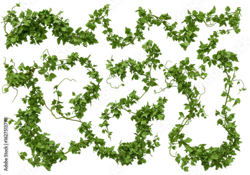 Wallpaper Mural Lush green vines winding through a natural setting, creating a vibrant and serene atmosphere Torontodigital.ca