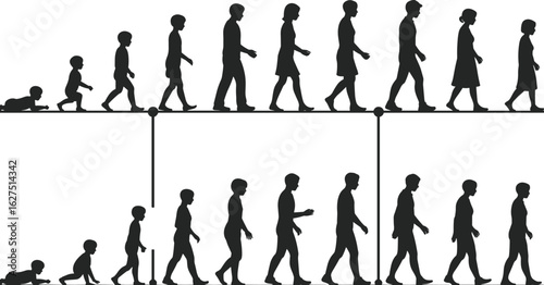 Human life stages timeline, baby to adult transformation, male and female evolution, growth development concept, flat vector illustration silhouette art