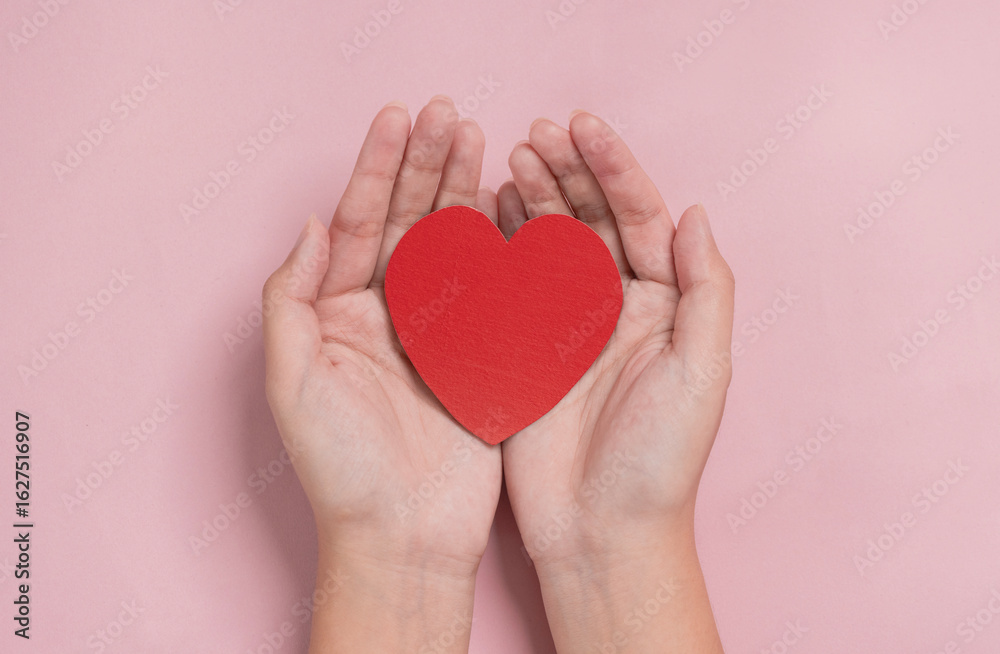 Obraz premium woman hands giving a red heart, red heart in young girl hands , health care, organ donation, family life insurance, world heart day, brain stroke. love concept.