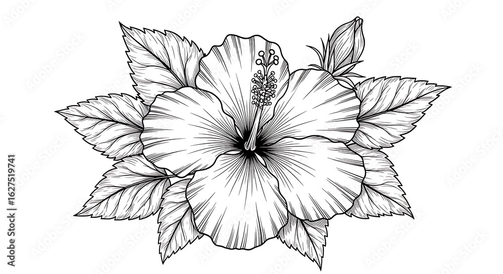 Fototapeta premium Detailed hibiscus flower silhouette