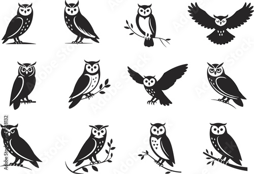 Set of owl silhouette illustrations, various owl poses and designs collection, bird of prey flat vector illustration