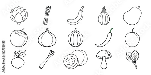 Collection of hand drawn tropical fruits isolated on white background