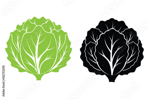 cabbage isolated on white background