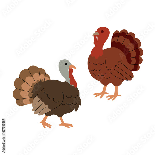Flat illustration of two turkeys in warm brown and red tones, each in a different pose. Simple cartoon style, perfect for Thanksgiving themes, farm content, childrens books, and educational materials