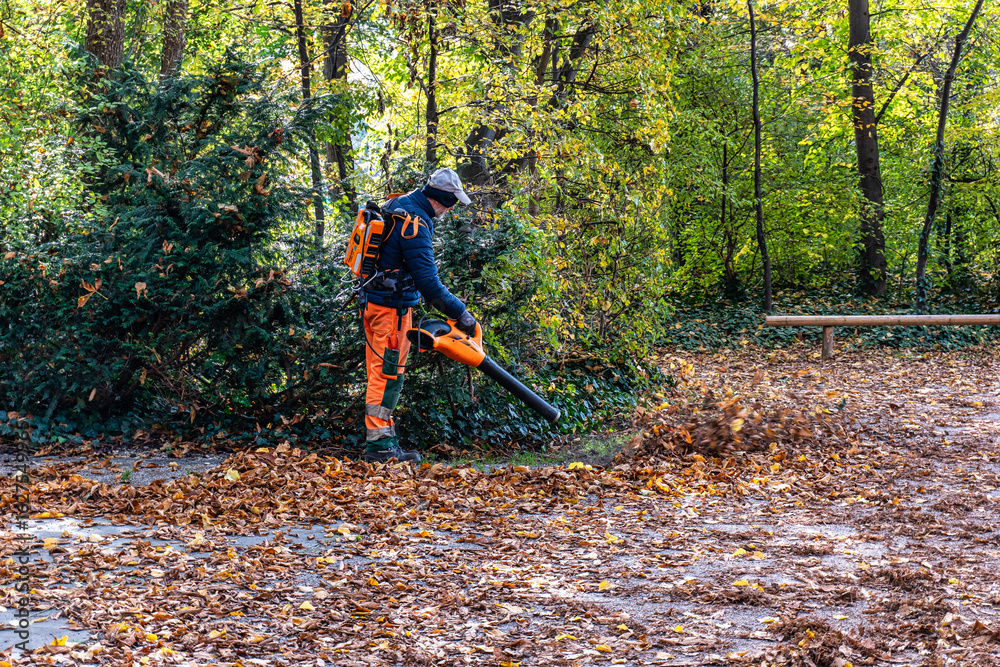 Naklejka premium Golden autumn view at Konigsplatz - Kings Square, state capital Munich, Bavaria, Munich, Germany