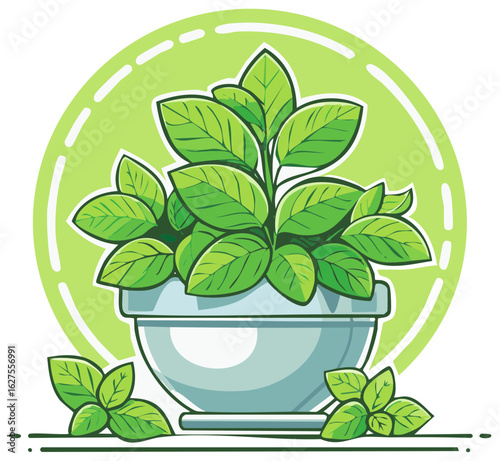 Fresh Green Basil Plant Growing in a Pot with Loose Leaves Illustration