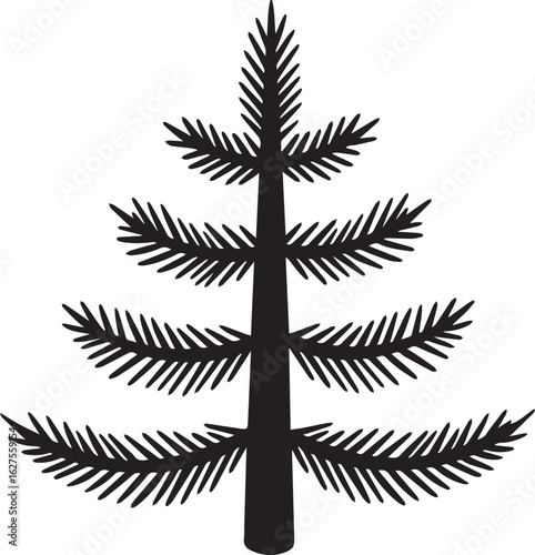 Black Silhouette of a Stylized Pine Tree with Detailed Branches evergreen conifer