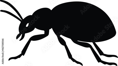 Silhouette beetle insect arthropod black and white vector illustrator
