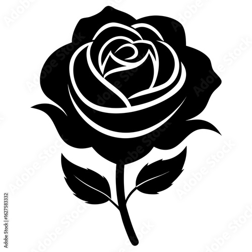old garden rose alba black colour