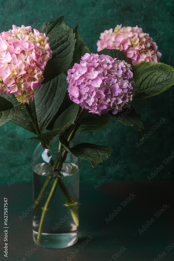 Obraz premium Hydrangea bouquet in minimalist clear vase with copy space – useful for editorial design, eco lifestyle, or floral branding concepts.
