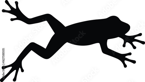 Silhouette frog isolated on white background amphibian vector illustrator